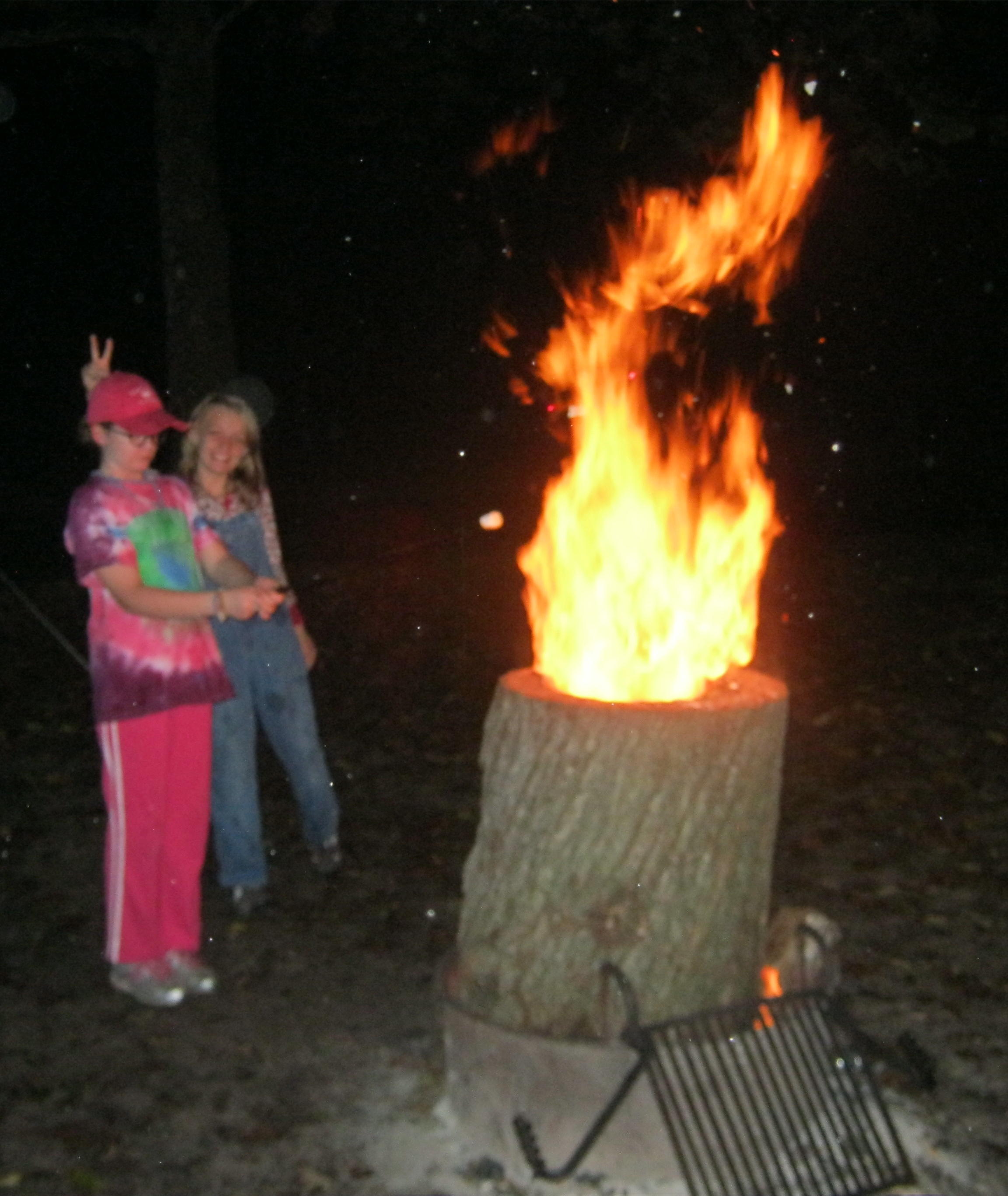 2013-09-28 Pultite Hollow Log campfire.jpg